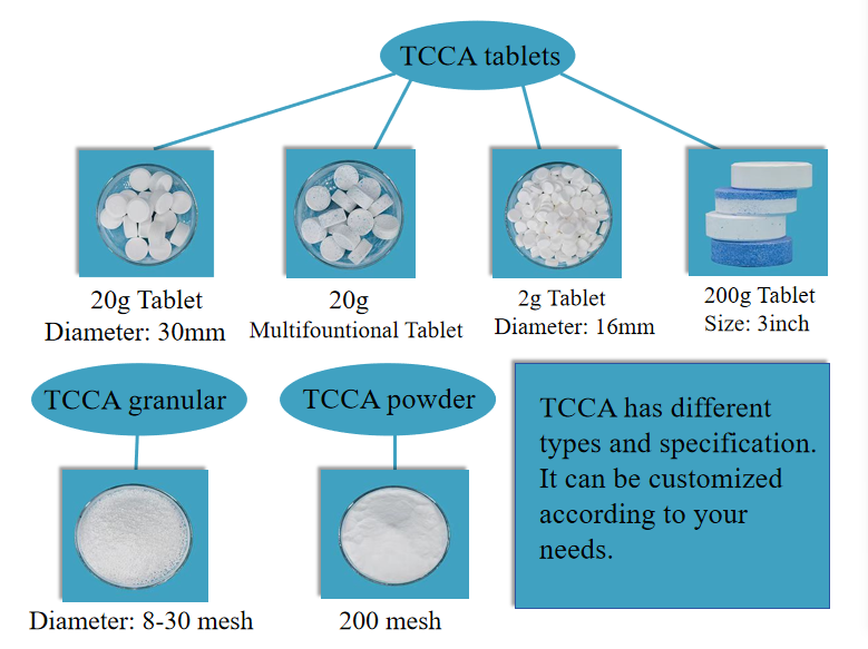 TCCA 详情.png